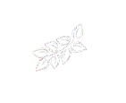 Environmental Law Institute
